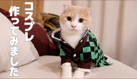 【鬼滅の刃】布を染めて猫コスプレ衣装作ってみました【DIY】生地の染め方